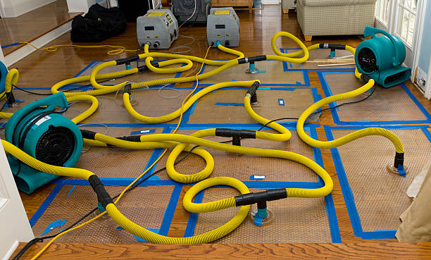 Professional Crawl Space Water Removal technician working in Warden, WA